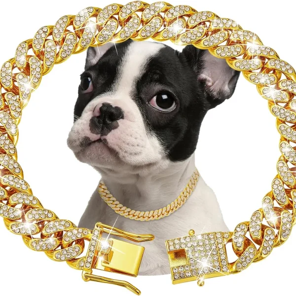 Luxury Gold Chain Collar for Dogs & Cats