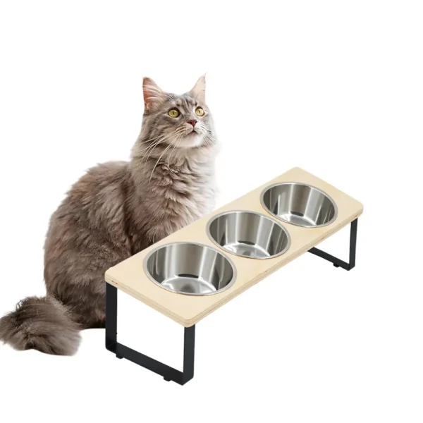 3-Bowl Elevated 15° Tilted Cat Feeder Set